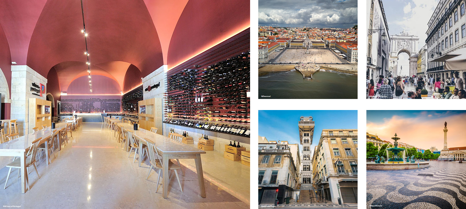 Wines of Portugal & Lisbon City Center